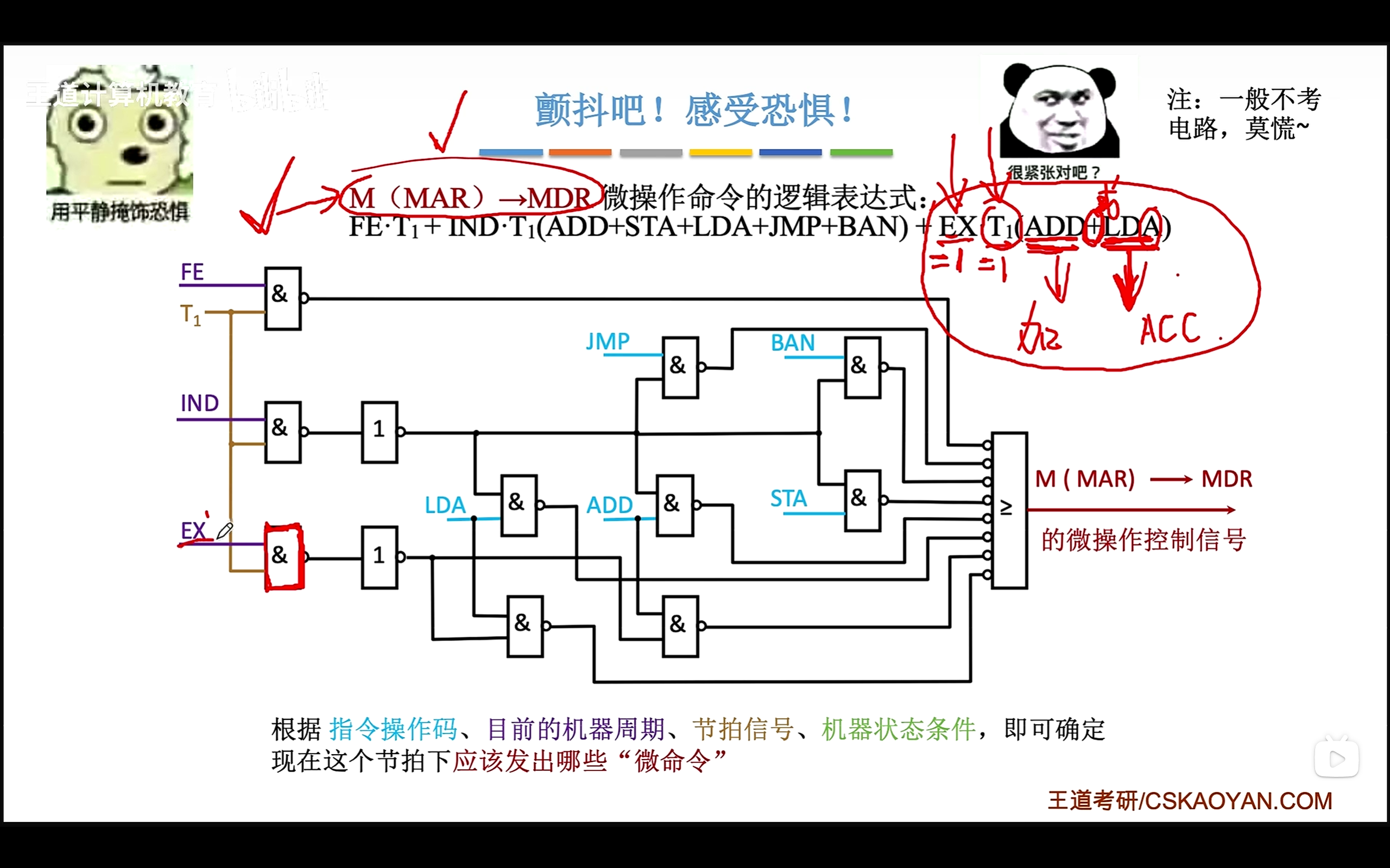 image-20260304144235894