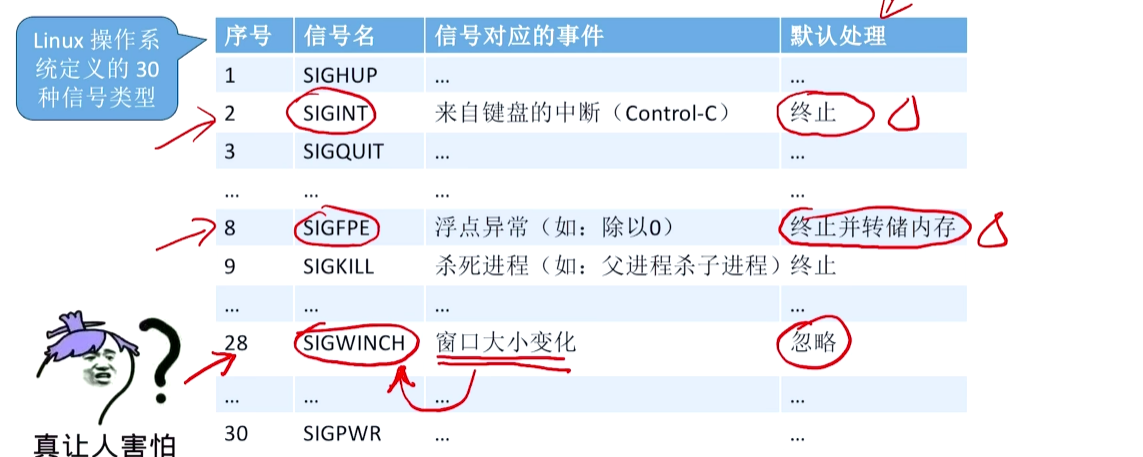 image-20260325221501641